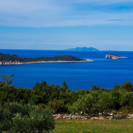 Sandra Apartments Konavle 外观 照片